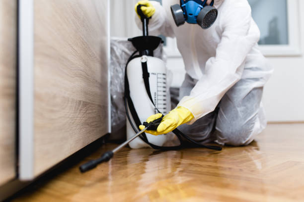 Wildlife Control Services in Clute, TX