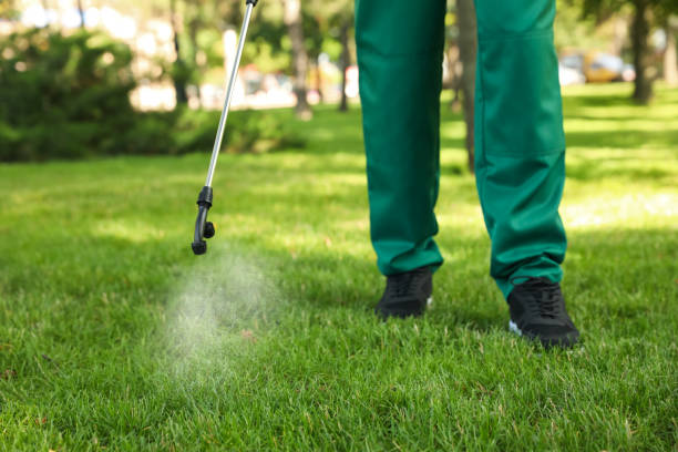 Best Best Pest Control Companies  in Clute, TX