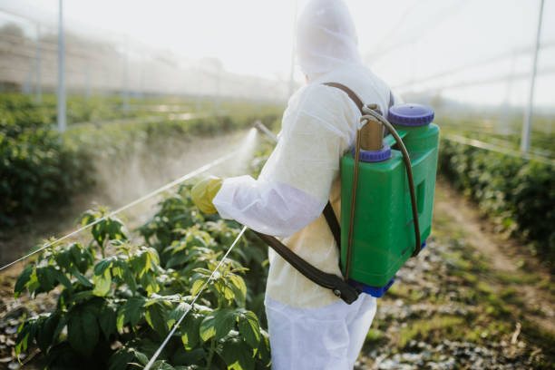 Insect Control in Clute, TX